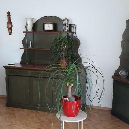 5 Gartenstrasse آنغرمونده المظهر الخارجي الصورة